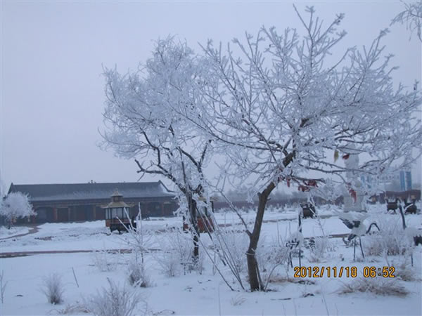 慧缘雪景二