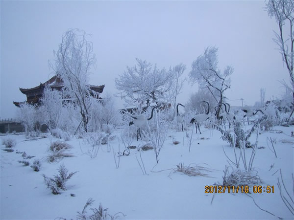 慧缘雪景三