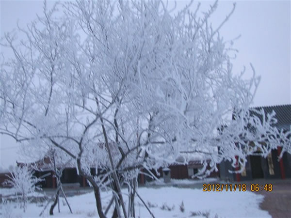 慧缘雪景四