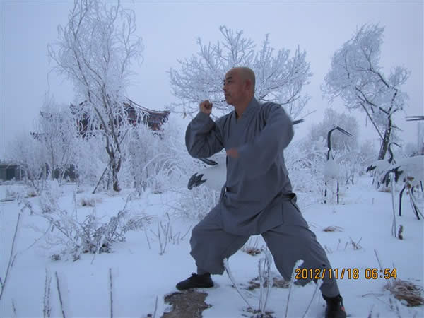 拳(一)