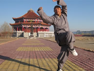 拳