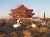 鹤园