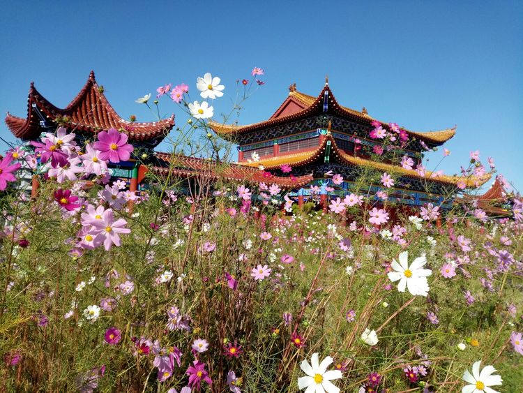 寺院内景
